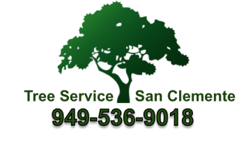Tree Service San Clemente Tree Care, Tree Removal Orange County